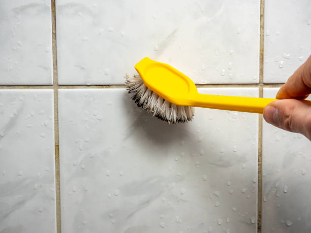 Best Same-Day Mold Removal  in Hillburn, NY
