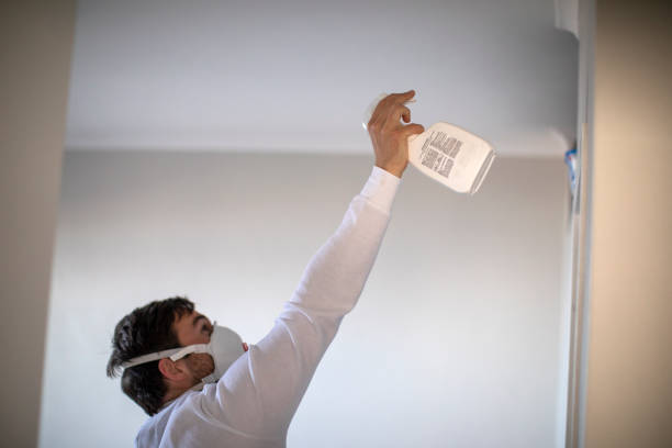 Best Water Damage Restoration  in Hillburn, NY