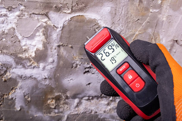 Best Attic Mold Removal  in Hillburn, NY