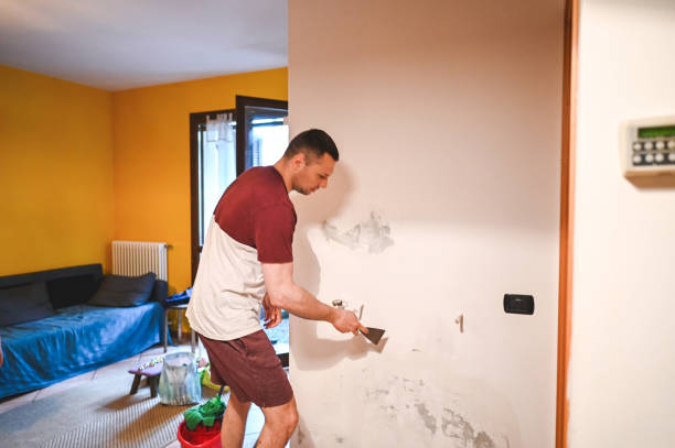 Best Mold Cleaning Services  in Hillburn, NY