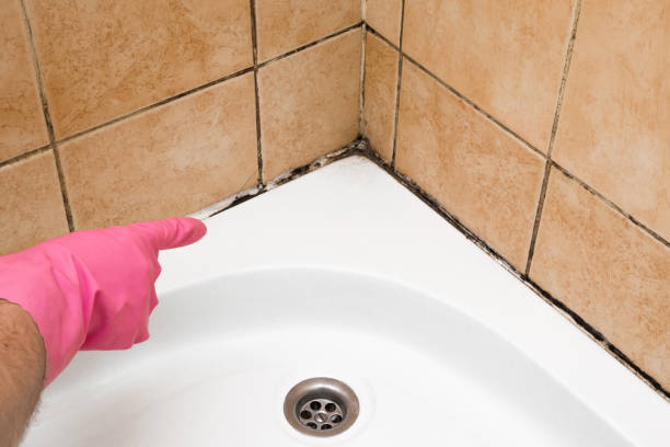 Best Emergency Mold Removal  in Hillburn, NY